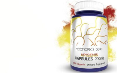 nootropic supplements